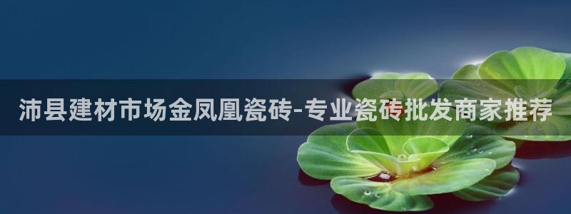 杏鑫平台招商怎么样啊