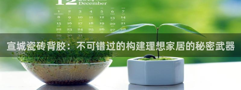 杏鑫平台招商电话号码是多少