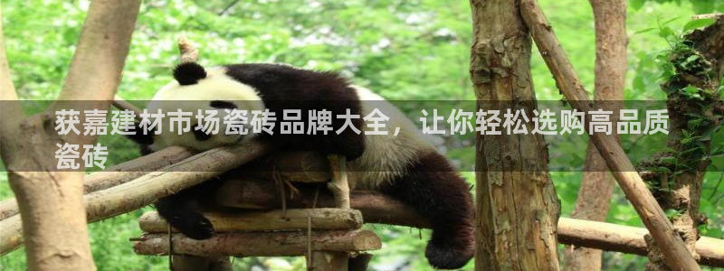 杏鑫官网
