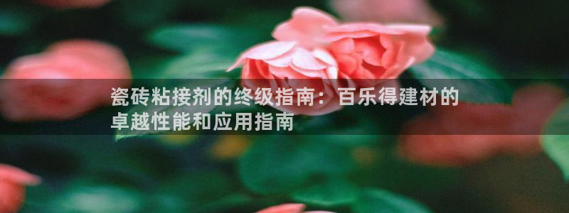 杏鑫平台代理怎么做的