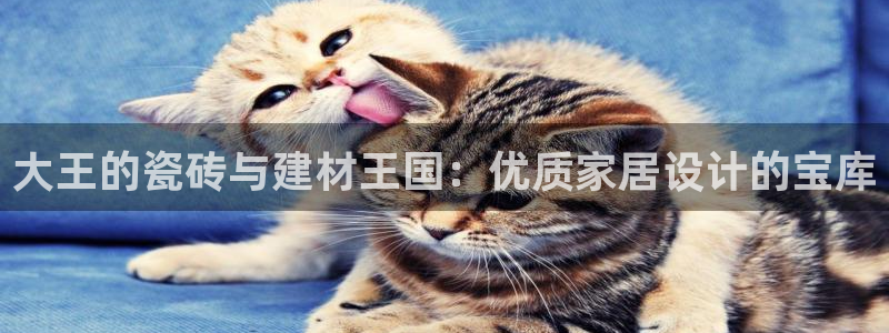 杏鑫平台招商电话是多少