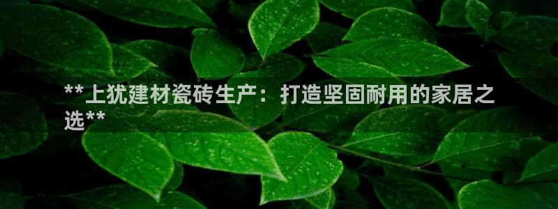 杏鑫娱乐平台测速怎么样