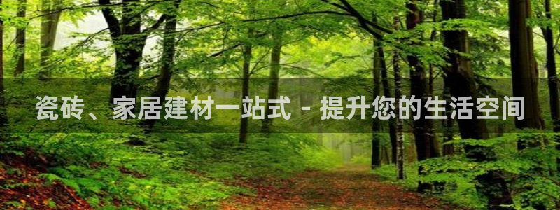 杏鑫平台代理怎么样啊