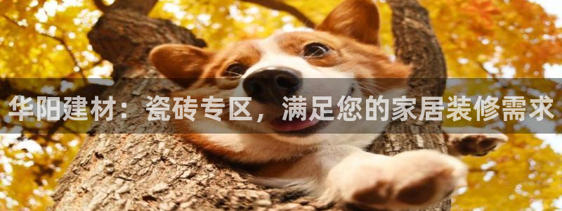 杏鑫娱乐多少年了