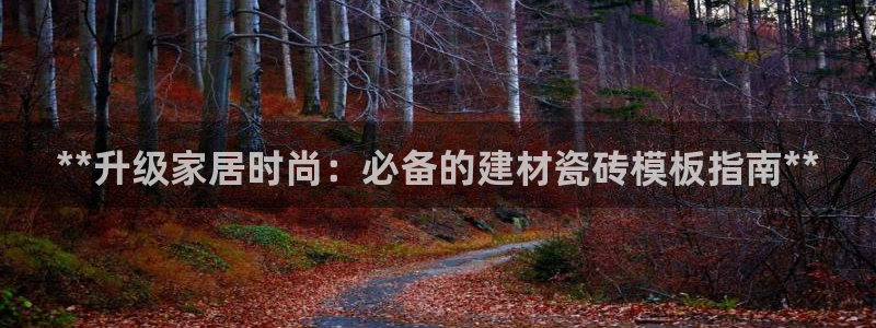 杏鑫平台是黑平台吗
