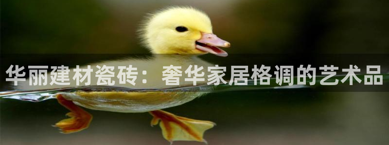 杏鑫平台招商