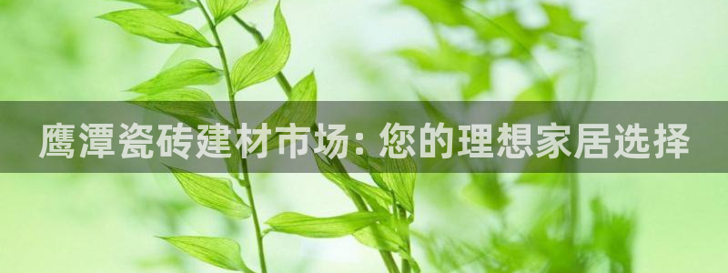 杏鑫平台招商电话号码