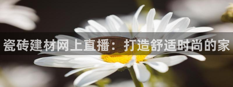 杏鑫平台代理怎么样赚钱