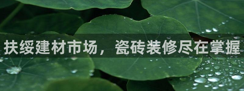 杏鑫娱乐官网