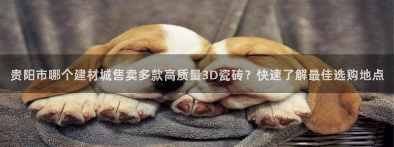 杏鑫平台代理怎么样