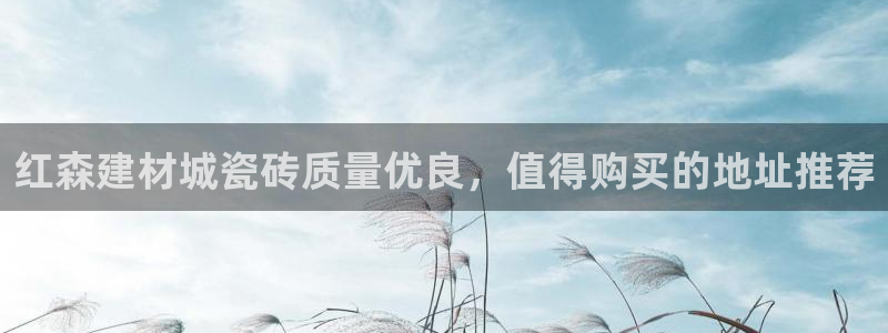 杏鑫官方平台怎么样啊知乎