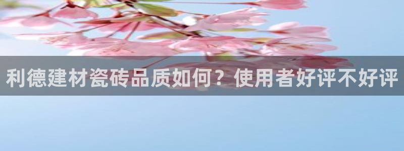 杏鑫娱乐平台