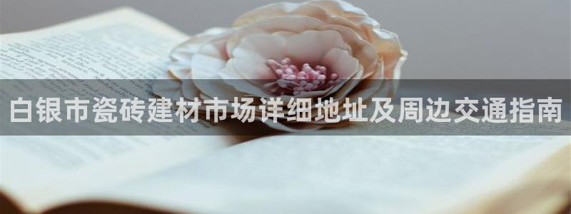 杏鑫官方app代理