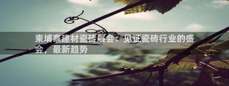 杏鑫官方平台怎么样