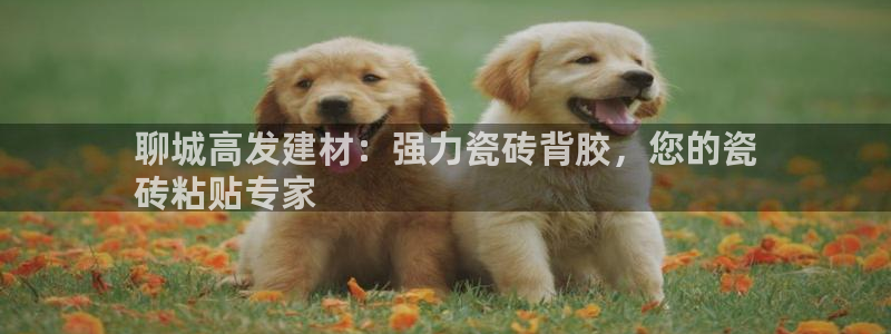 杏鑫官方平台怎么样啊知乎