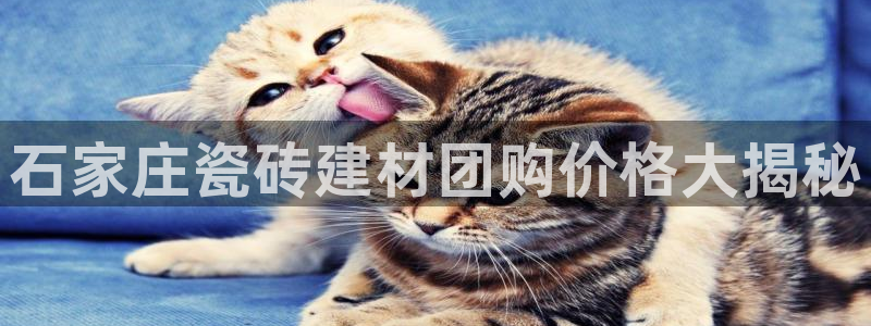 杏鑫平台代理怎么做赚钱