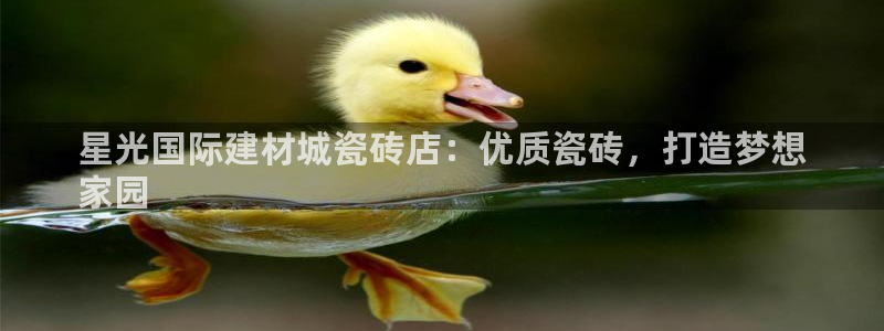 杏鑫平台怎么样知乎