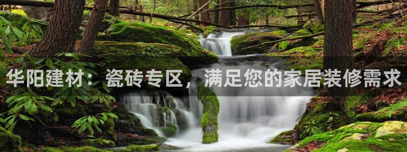 杏鑫平台代理怎么做赚钱