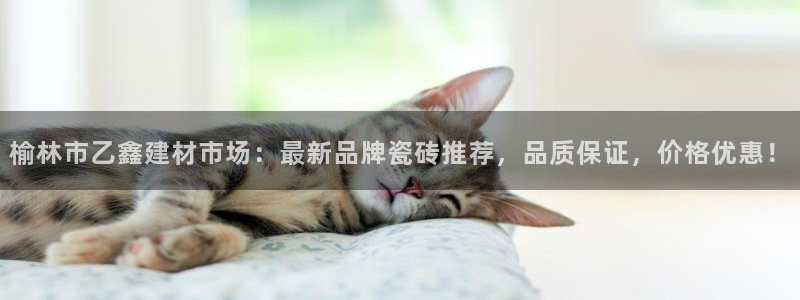 杏鑫娱乐是真的吗还是假的