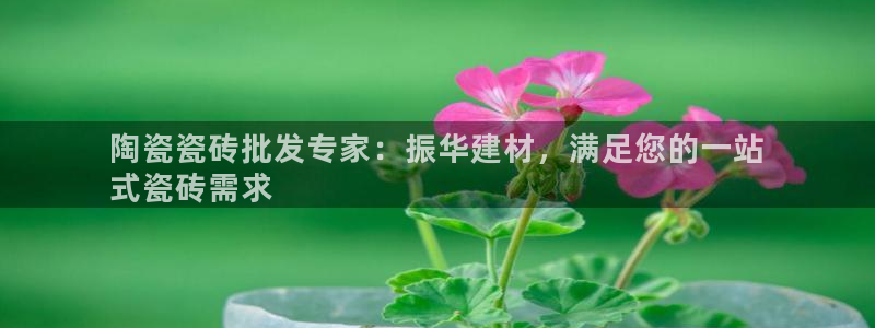 杏鑫娱乐负责人