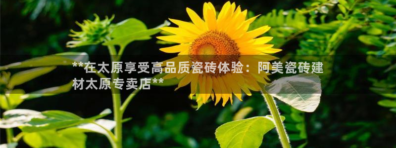 杏鑫娱乐官网首页
