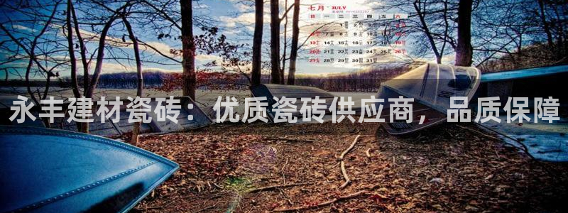 杏鑫官方平台怎么样啊知乎