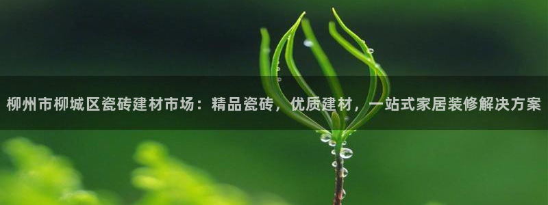 杏鑫娱乐怎么下