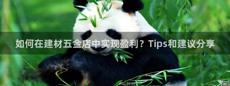 杏鑫平台招商电话号码是多少