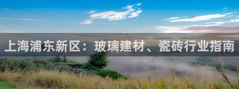 杏鑫平台平台