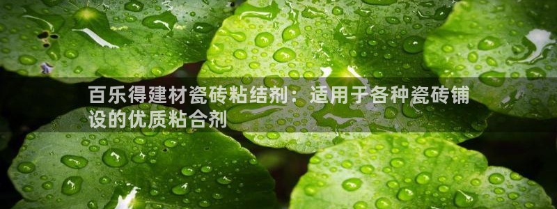 杏鑫平台招商电话号码