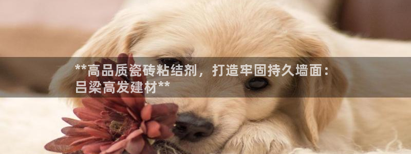 杏鑫娱乐官网首页